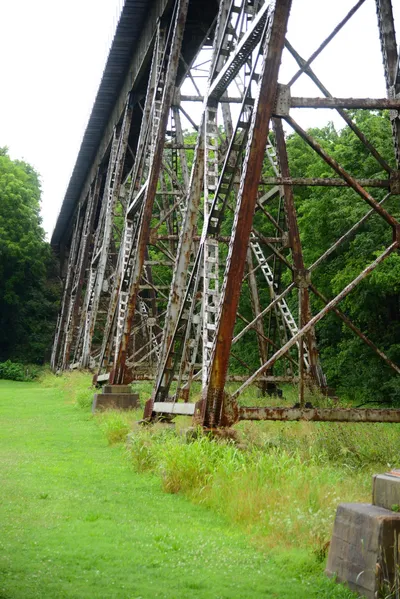 DSC_2212 (Large).JPG